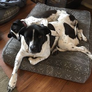 Meet your Posher, Rebecca